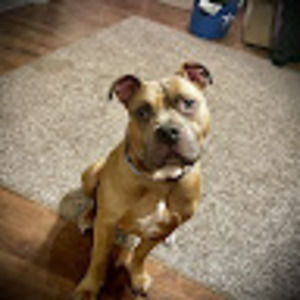 Meet your Posher, Lilyann